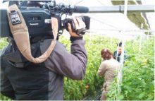 FBS福岡 光樹とまと 「トマト狩り体験」