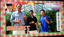 日本テレビ 「ヒルナンデス!」
