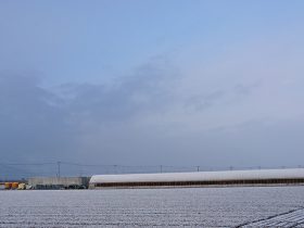 光樹とまと 風景1