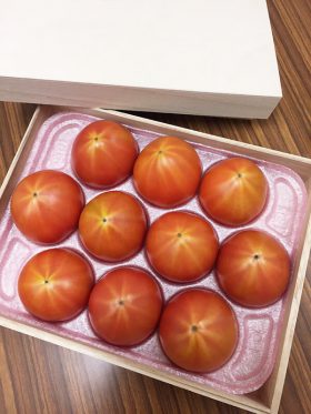 光樹とまと オーロラ