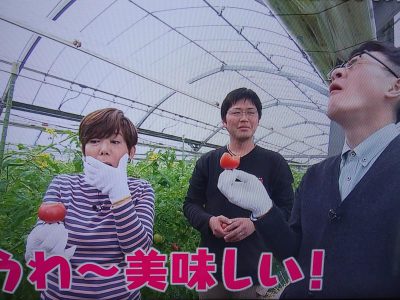 ごちそうマエストロ