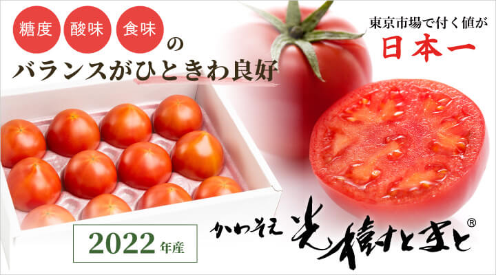 光樹とまと 2021年産予約販売開始