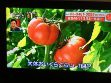 2018.3.29放送　あさイチ