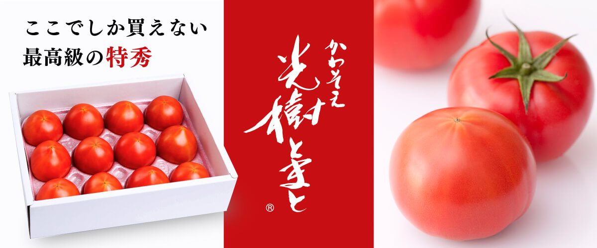 光樹とまと